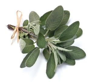 5 Uses for Sage Essential Oil