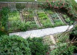 De-Plasticize For a Healthy Garden