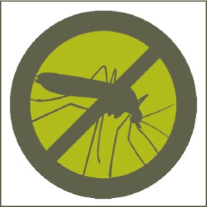 DIY Insect Repellant + Bug Bite Remedies