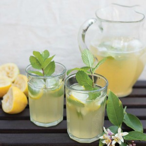 Homemade Honey Mint Lemonade + Cookbook Giveaway!