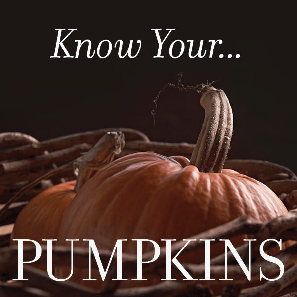 Know Your Pumpkins