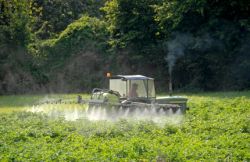 Roundup Weed Killer & Birth Defects
