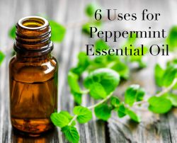 The Essential: 6 Uses For Peppermint Essential Oil